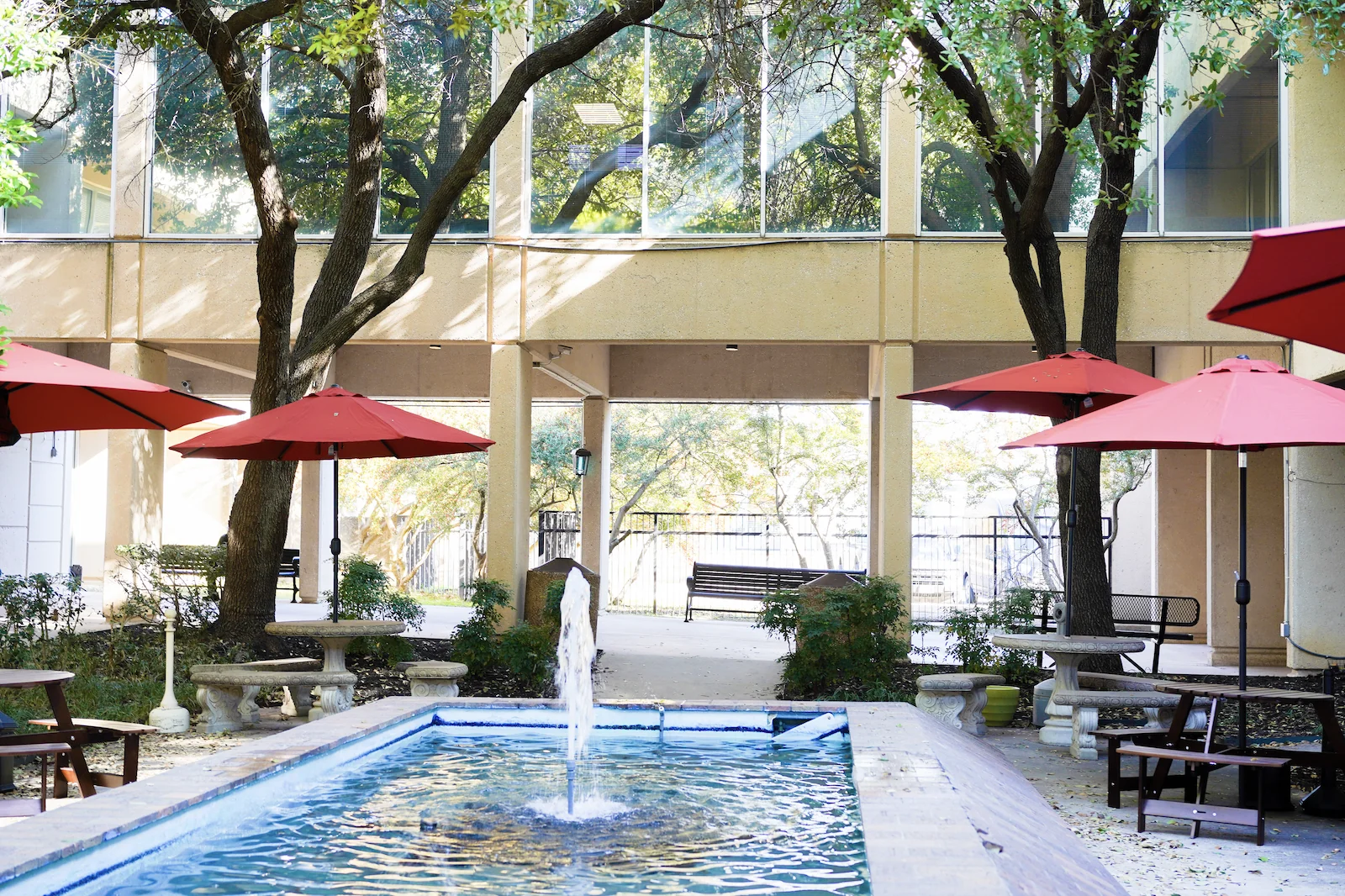 drug alcohol rehab dallas Dallas Rehab Center