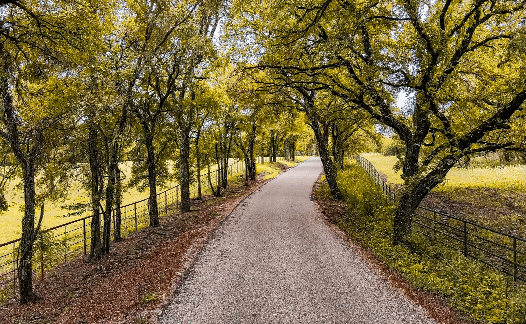 Natural Trails